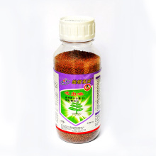 imidacloprid insecticide fly killer powder